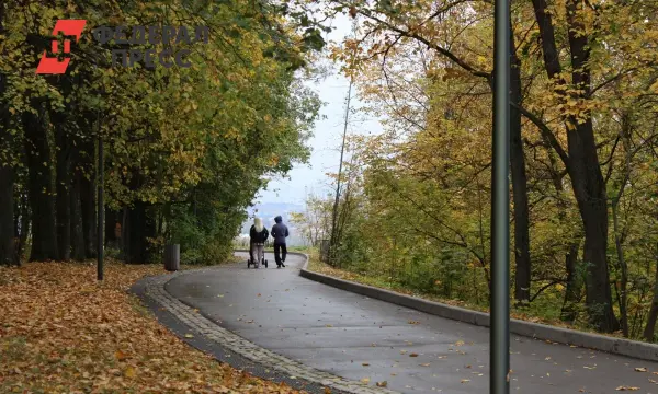Прогноз тёплых и солнечных выходных в Санкт-Петербурге и других регионах России-0