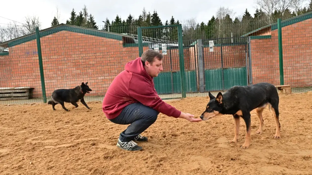 Благотворительный проект «Пушистый марафон» стартовал в ТиНАО