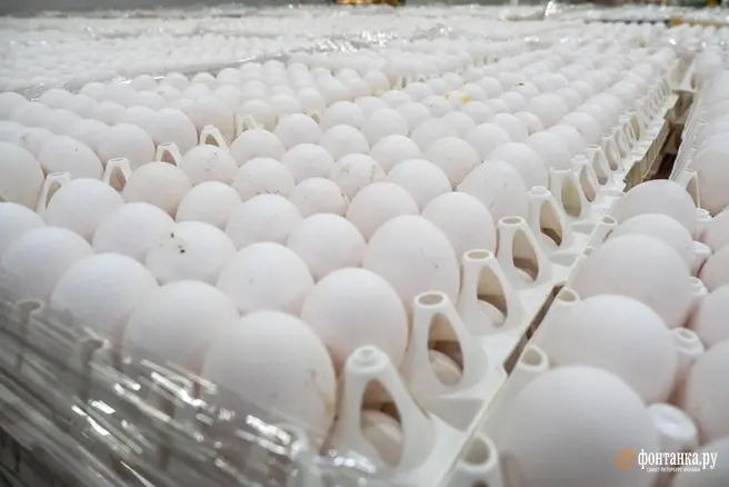 На снижение цен повлияли несколько факторов | Источник: Михаил Огнев / FONTANKA.RU