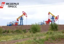 Рустам Минниханов рассказал о росте экономики Татарстана и ценах на Urals rustam minnihanov rasskazal o roste ekonomiki tatarstana i czenah na -dmvv-ru-0