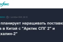 Сергей Цивилев сообщил о росте газовых поставок в Китай и Индию благодаря Арктик СПГ 2 и Сахалин-2 sergej czivilev soobshhil o roste gazovyh postavok v kitaj i indiyu blagodarya arktik spg 2 i sahalin2-dmvv-ru-0