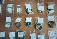 Щербинский суд признал работу транспортной прокуратуры эффективной в деле о контрабанде shherbinskij sud priznal rabotu transportnoj prokuratury effektivnoj v dele o kontrabande-dmvv-ru-0