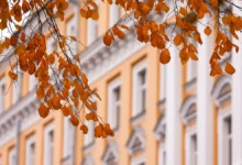 Свежие прогнозы от Метео о погоде на выходных для Москвы и области svezhie prognozy ot meteo o pogode na vyhodnyh dlya moskvy i oblasti-dmvv-ru-0