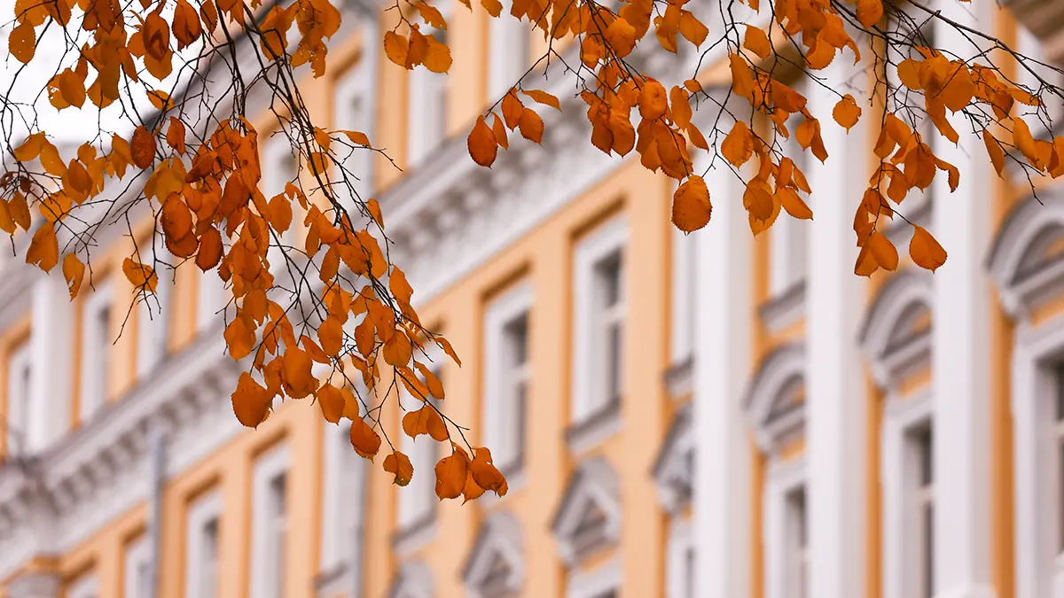 Погода в Москве и Подмосковье на выходные 25 и 26 октября