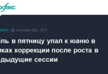 ustojchivost rublya peremeny na rynke yuanya i oczenka bankom rossii-dmvv-ru-0