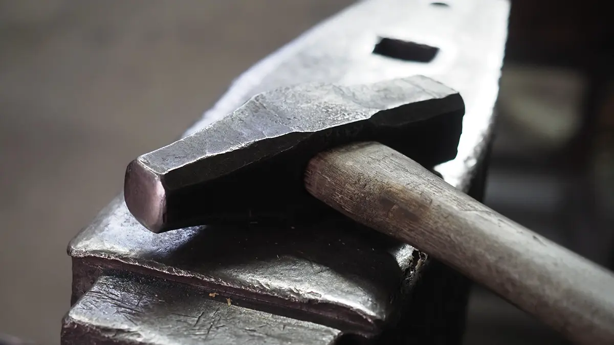 Ростовчанин забил насмерть сестру и ее мужа молотком, после чего сбежал