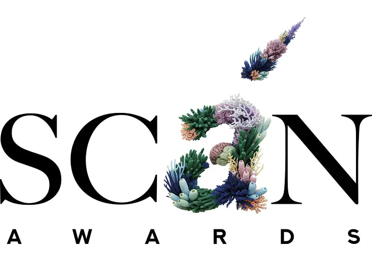 В Красноярске состоялось торжественное оглашение финалистов Scan Awards-0