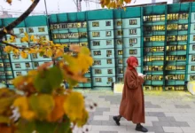 В Москве и области суббота станет самым теплым днем недели v moskve i oblasti subbota stanet samym teplym dnem nedeli-dmvv-ru-0