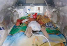 В Приморском краевом перинатальном центре спасены мама и двойня v primorskom kraevom perinatalnom czentre spaseny mama i dvojnya-dmvv-ru-0