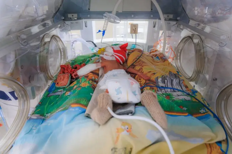 Фото: primamedia.ru