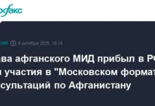 Визит главы МИД Афганистана Амир Хана Муттаки в РФ открывает "Московский формат" vizit glavy mid afganistana amir hana muttaki v rf otkryvaet moskovskij format-dmvv-ru-0
