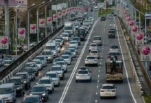 vladivostok czentr organizaczii dorozhnogo dvizheniya vosstanavlivaet svetofory i provoda na vtoroj rechke-dmvv-ru-0