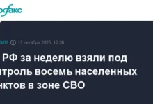 vosem naselyonnyh punktov v zone svo osvobozhdeny za nedelyu-dmvv-ru-0