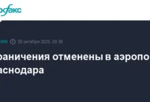 Восстановление работы аэропорта Краснодара приносит радость пассажирам vosstanovlenie raboty aeroporta krasnodara prinosit radost passazhiram-dmvv-ru-0