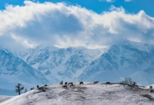 Яндекс Путешествия рекомендуют восстанавливающий отдых на Алтае и Байкале yandeks puteshestviya rekomenduyut vosstanavlivayushhij otdyh na altae i bajkale-dmvv-ru-0