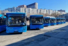 14 Новых Автобусов МАЗ Укрепляют Транспортную Систему Владивостока! 14 novyh avtobusov maz ukreplyayut transportnuyu sistemu vladivostoka-dmvv-ru-0