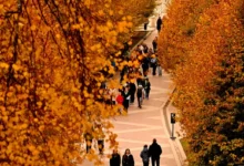 Александр Шувалов рассказал о солнечной погоде в Москве после Дня народного единства aleksandr shuvalov rasskazal o solnechnoj pogode v moskve posle dnya narodnogo edinstva-dmvv-ru-0