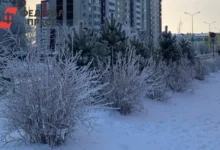 Евгений Тишковец обещает кратковременные снеговые декорации в Москве evgenij tishkovecz obeshhaet kratkovremennye snegovye dekoraczii v moskve-dmvv-ru-0