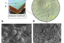 ФИЦ Биотехнологии РАН и Третьяковская галерея изучают Iodophanus sp. на иконе «Деисус из 13 фигур» ficz biotehnologii ran i tretyakovskaya galereya izuchayut na ikone deisus iz 13 figur-dmvv-ru-0