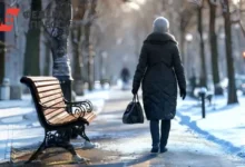 Гидрометцентр опроверг миф о рекордных морозах, предсказывая теплую зиму в Москве gidrometczentr oproverg mif o rekordnyh morozah predskazyvaya tepluyu zimu v moskve-dmvv-ru-0