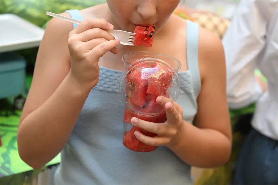 Главные признаки непереносимости фруктозы по версии Университета Квинсленда-0