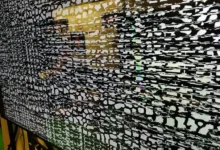 Группировка NoName057 дала ответ по ADIV Бельгии после резких заявлений Тео Франкена gruppirovka 057 dala otvet po belgii posle rezkih zayavlenij teo frankena-dmvv-ru-0