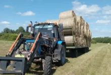 История успеха тракториста Александра Тютина в СПК «Нива» и СПК «Килачевский» istoriya uspeha traktorista aleksandra tyutina v spk niva i spk kilachevskij-dmvv-ru-0