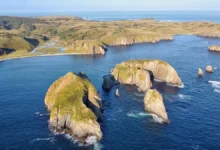 Кремль и Япония сблизили позиции на фоне скандала с Курильскими островами kreml i yaponiya sblizili poziczii na fone skandala s kurilskimi ostrovami-dmvv-ru-0