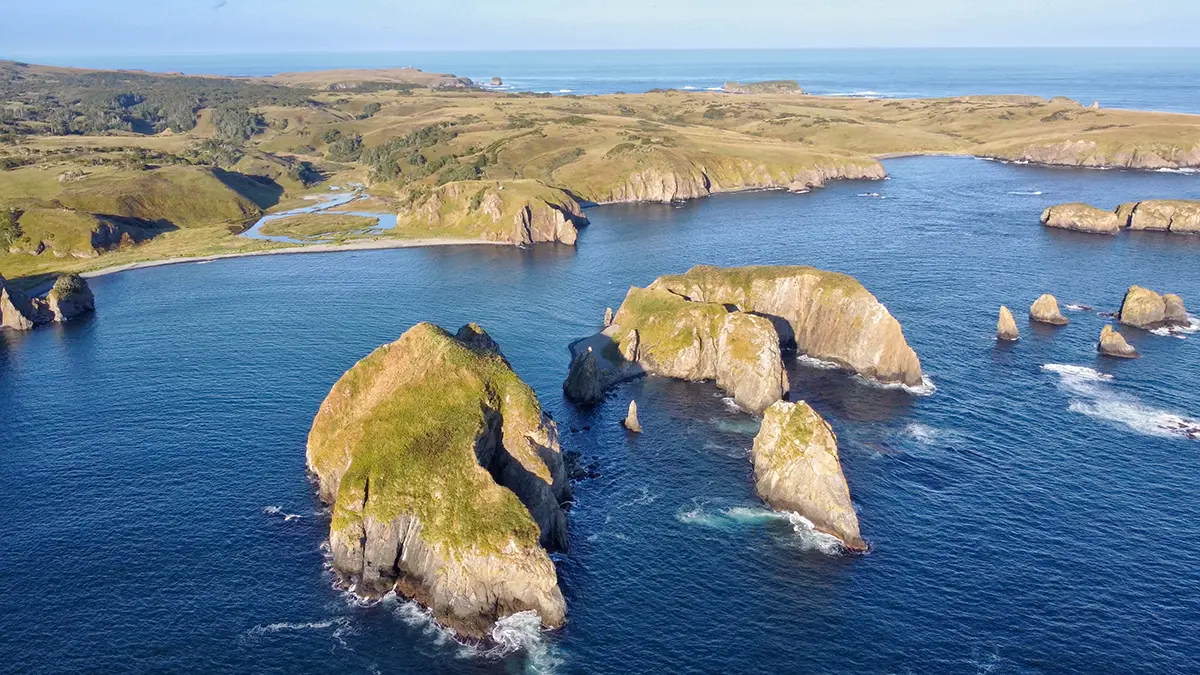 Baijiahao: Кремль жестко отреагировал на скандал в Японии из-за Курил