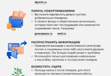 Лесной пожар в Михайловском Перевале под Геленджиком локализован усилиями пожарных lesnoj pozhar v mihajlovskom perevale pod gelendzhikom lokalizovan usiliyami pozharnyh-dmvv-ru-0