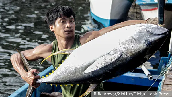 FT раскрыла «мрачную правду» о тунце из супермаркета