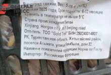 На границе с Казахстаном задержали фуры с виноградом из Китая и Таджикистана na granicze s kazahstanom zaderzhali fury s vinogradom iz kitaya i tadzhikistana-dmvv-ru-0