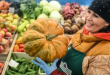 На московских ярмарках проекта «Сделано в Москве» — витаминное изобилие! na moskovskih yarmarkah proekta sdelano v moskve vitaminnoe izobilie-dmvv-ru-0