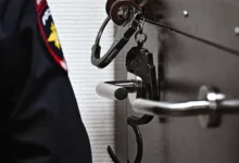 Октябрьский районный суд Новосибирска осудил женщину за жестокое обращение с дочерью oktyabrskij rajonnyj sud novosibirska osudil zhenshhinu za zhestokoe obrashhenie s docheryu-dmvv-ru-0