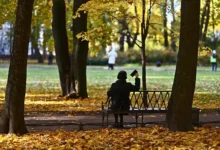 Перебои с мобильным интернетом в Санкт-Петербурге и пути улучшения связи pereboi s mobilnym internetom v sanktpeterburge i puti uluchsheniya svyazi-dmvv-ru-0