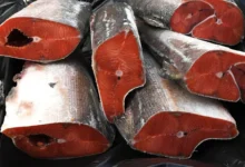 Российский экспорт в Китай показывает стабильный рост в АПК, особенно рыбы и масла rossijskij eksport v kitaj pokazyvaet stabilnyj rost v apk osobenno ryby i masla-dmvv-ru-0