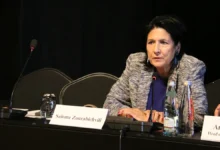 Саломе Зурабишвили выражает обеспокоенность грузинским курсом к России и ЕС salome zurabishvili vyrazhaet obespokoennost gruzinskim kursom k rossii i es-dmvv-ru-0