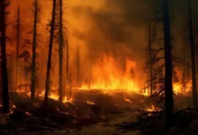 Современные подходы к мониторингу и прогнозу лесных пожаров в Сибири от ИВТ СО РАН и А.В. Юрченко sovremennye podhody k monitoringu i prognozu lesnyh pozharov v sibiri ot ivt so ran i av yurchenko-dmvv-ru-0