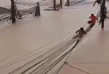 Туристы из Новосибирска испытывают стихию в Таиланде и Вьетнаме turisty iz novosibirska ispytyvayut stihiyu v tailande i vetname-dmvv-ru-0