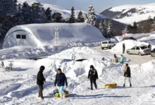 Твил объяснил изменения цен на отдых в Хамышках, Абрау-Дюрсо и Севастополе зимой tvil obyasnil izmeneniya czen na otdyh v hamyshkah abraudyurso i sevastopole zimoj-dmvv-ru-0