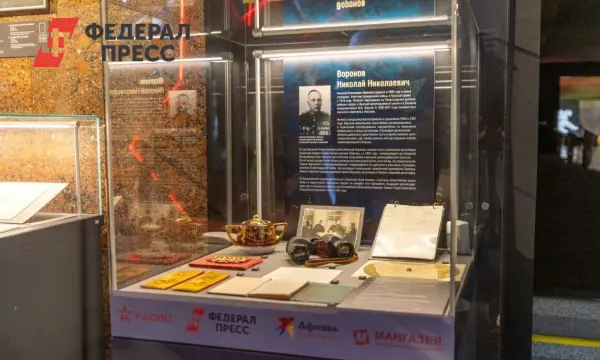 Уникальная выставка в Музее Победы посвящена реликвиям маршала Воронова и Сталинграду-0