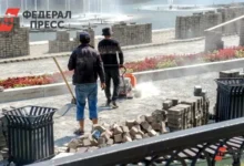 В Чувашии ожидается рост трудовой интеграции с 1047 патентами для мигрантов v chuvashii ozhidaetsya rost trudovoj integraczii s 1047 patentami dlya migrantov-dmvv-ru-0