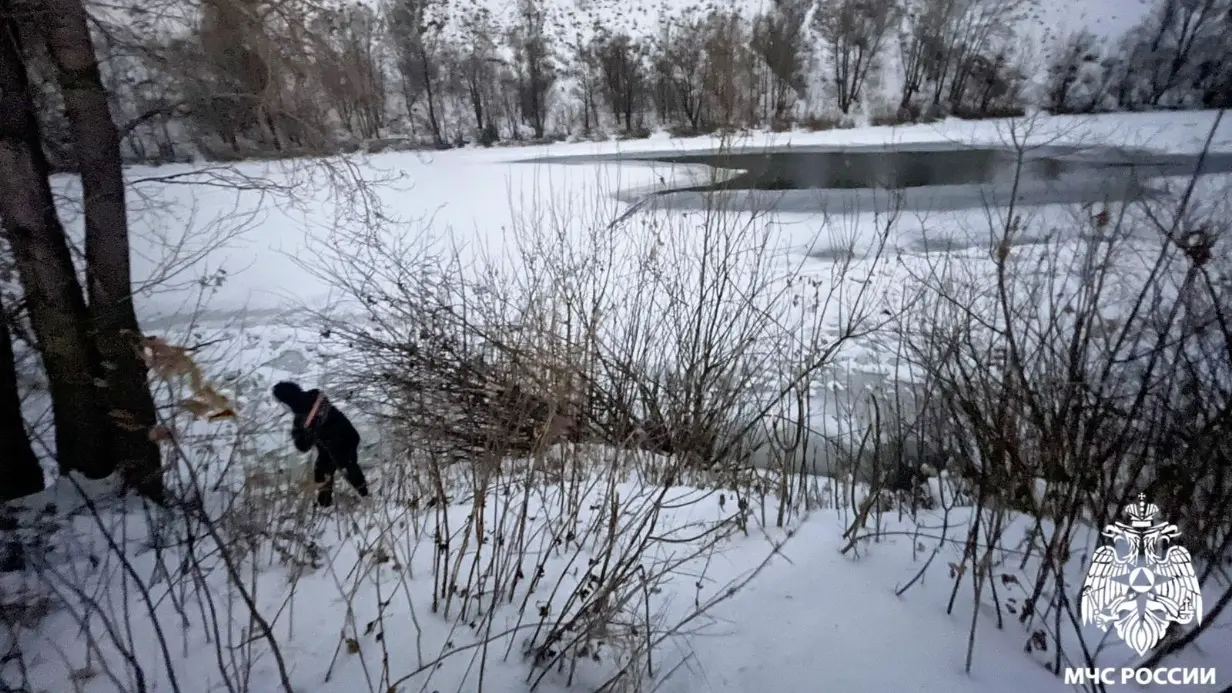 Двое детей провалились под лед в Новосибирске, одного не спасли