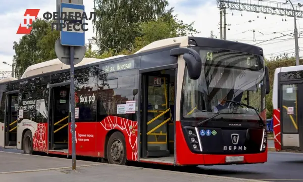 В Пермь выходят на маршруты 59 современных автобусов для обновления автопарка-0