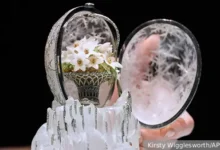 Яйцо Фаберже Николая II для Марии Федоровны на аукционе Christie's в Лондоне yajczo faberzhe nikolaya dlya marii fedorovny na aukczione v londone-dmvv-ru-0