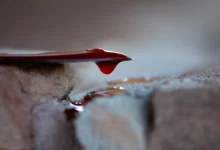 Жилой комплекс «Филатов Луг» и «Прокшино» внедряет новые меры безопасности zhiloj kompleks filatov lug i prokshino vnedryaet novye mery bezopasnosti-dmvv-ru-0