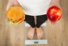 29 декабря в России и мире: важные события и день рождения белого медведя 29 dekabrya v rossii i mire vazhnye sobytiya i den rozhdeniya belogo medvedya-dmvv-ru-0