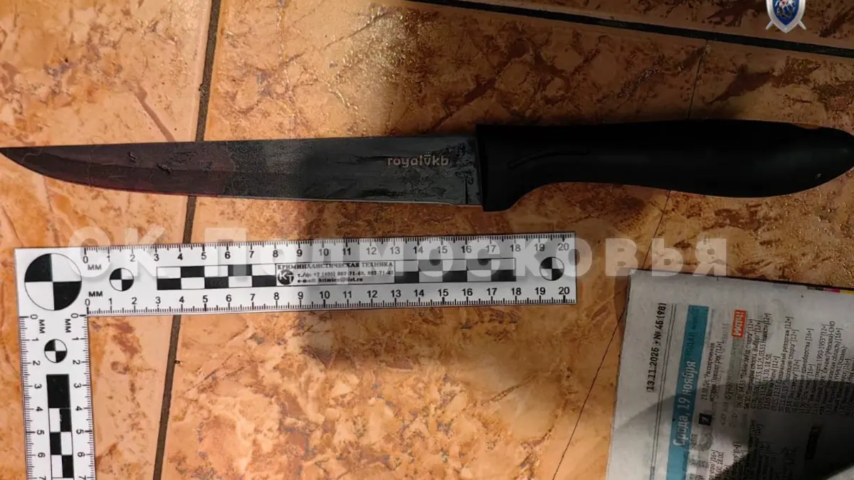 Суд в Подмосковье арестовал женщину, зарезавшую знакомую во время попойки