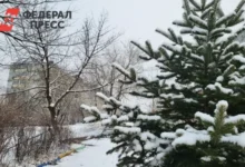 Борис Кубай рассказал, как Примгидромет защищает Владивосток от тайфунов KOTO и DITWAH boris kubaj rasskazal kak primgidromet zashhishhaet vladivostok ot tajfunov i -dmvv-ru-0