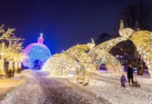 Цирк на проспекте Вернадского преобразился благодаря проекту Петра Бирюкова czirk na prospekte vernadskogo preobrazilsya blagodarya proektu petra biryukova-dmvv-ru-0